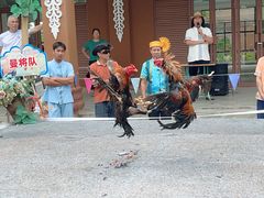 -西双版纳傣族园