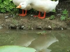 android_upload_pic-盛世南宫影视城(北普陀影视城)