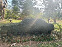 -中国科学院西双版纳热带植物园