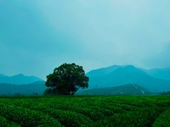 -午潮山国家森林公园