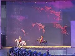 -新疆大剧院