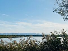 -野鸭湖国家湿地公园