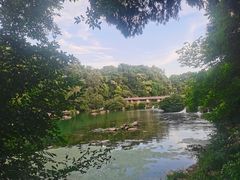 -花溪公园