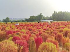 -汉长安城未央宫国家考古遗址公园