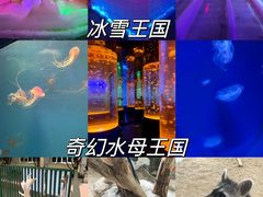 -海合安武汉极地海洋公园