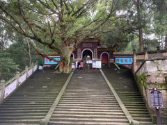-子昂故里文化旅游区