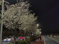 -钱塘江大桥