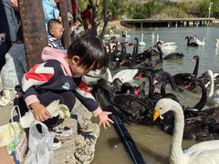 -新疆天山野生动物园