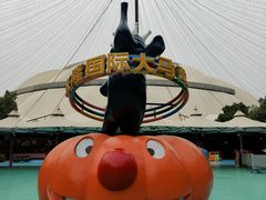 -广州长隆国际大马戏