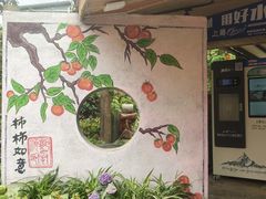 -田园印象·成都土菜院子(华阳店)