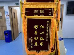 -博特宠物医院24h犬猫全科.骨科·异宠