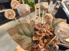-鹿鸣山草本茶香火锅(园西路店)