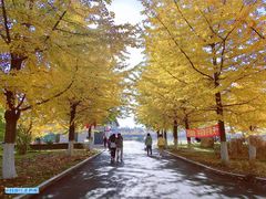 -辽东学院(南校区)