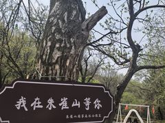 -吉林市朱雀山国家森林公园