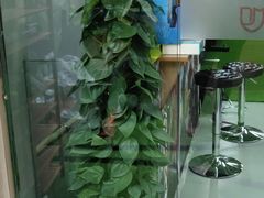 -征成健身连锁私教工作室(九公里店)