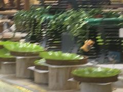 -半岛听涛蒸汽海鲜自助(K11店)