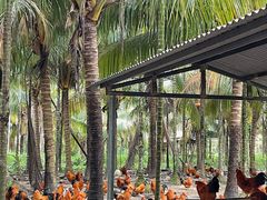 -兴隆槟榔园休闲农庄