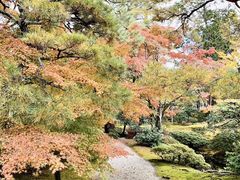 -京都御所