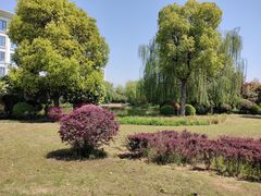 -南阳建业森林半岛假日酒店