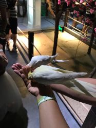 -酷嗒动物文化乐园(cutezoo西溪乐天城店)