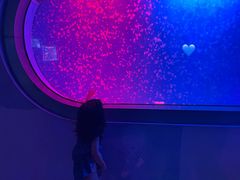 -福州罗源湾海洋世界旅游区