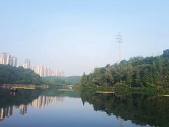 -重庆彩云湖湿地公园