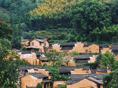 -杨家堂村