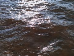 -金海滩海水浴场