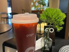 -gaga(深圳福田星河COCO Park店)