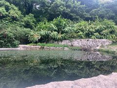 -成都市活水公园