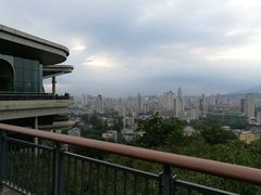 -金鸡山公园