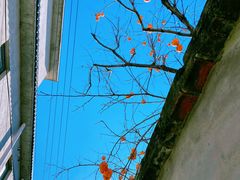 -辛庄国际文化艺术区