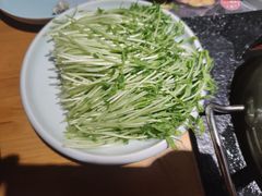 -洪氏嗨捞·广东猪肚鸡·椰子鸡火锅(西咸万象城店)
