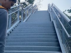 -佛山华盖山公园