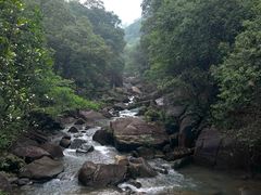 -广州白江湖森林公园