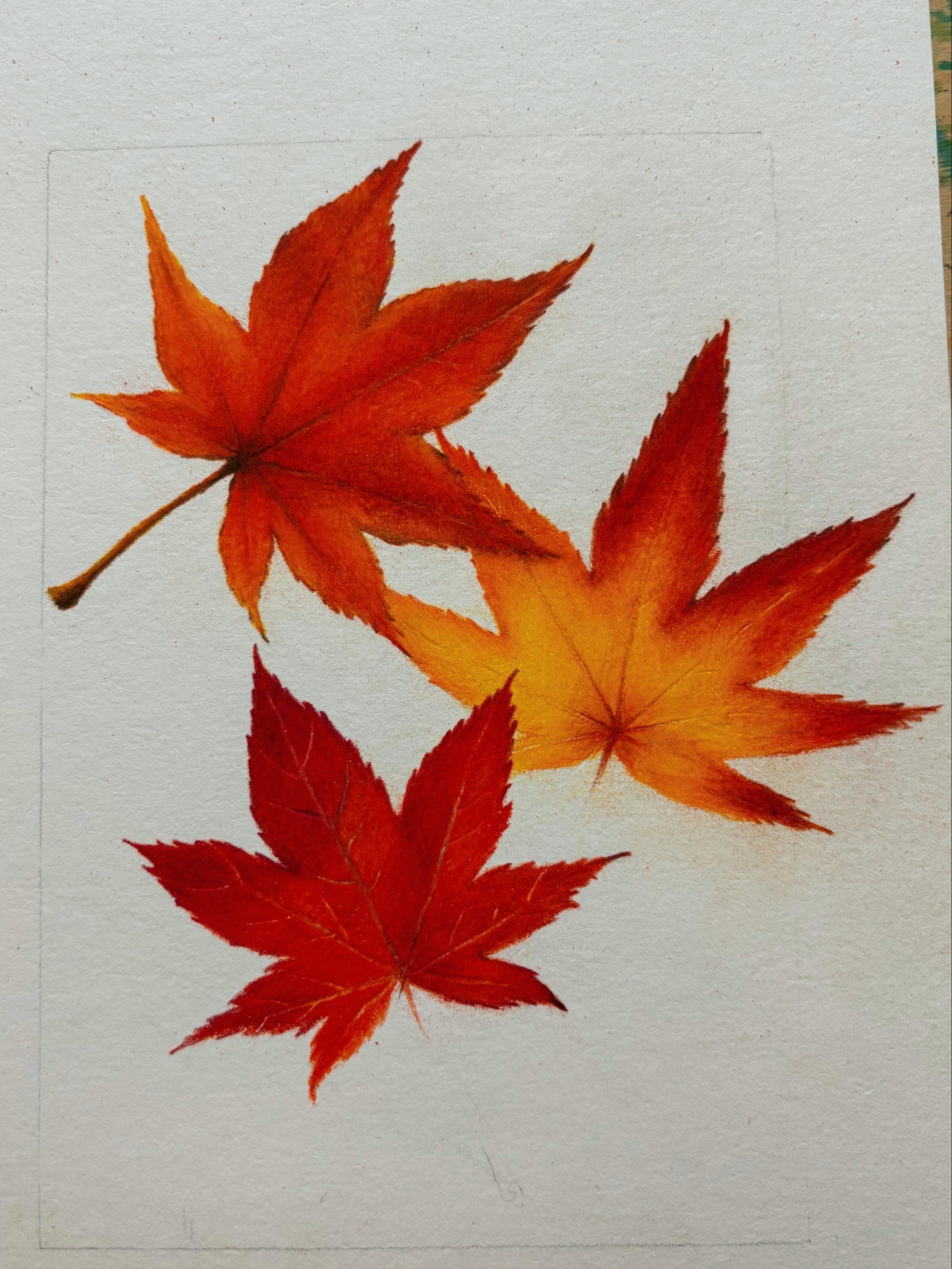 我的随手画!用画笔记录秋天枫叶🍁还行吧?