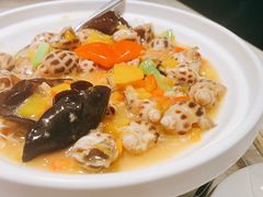 黄椒酱煮花螺-陶陶居酒家(海岸城店)