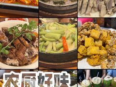 -农厨好味·温泉鹅·农家菜
