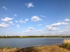 -绿堤公园