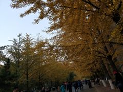 -辽宁大学(崇山校区)