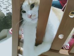 -宠颐生·恒爱宠物医院(静海店)