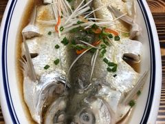 清蒸野生白鱼-巢湖名吃·徽府农家菜(半汤店)