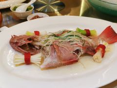 -鹏天阁酒楼·海鲜(红旗店)