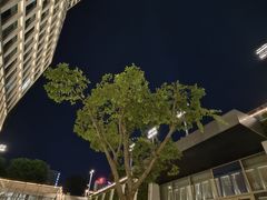 -THE PAWON·8碗(古北SOHO店)