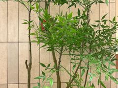 -池奈·咖喱蛋包饭(熙地港店)