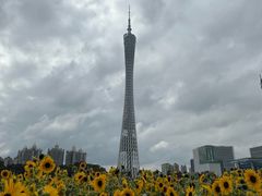 -海心沙亚运公园