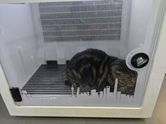 -艾贝尔宠物医院 ·中兽医·宠保定点(北门桥店)