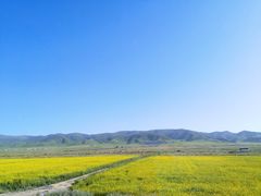 -青海湖国家重点风景名胜区
