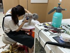 -宠屋宠物美容店