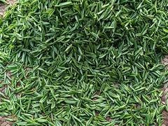 -长沙滨江文化园